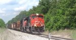 CN M33491